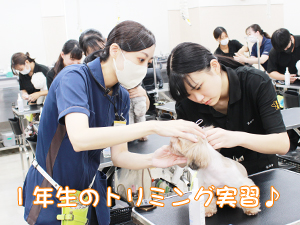 １年生、今日もがんばっています！